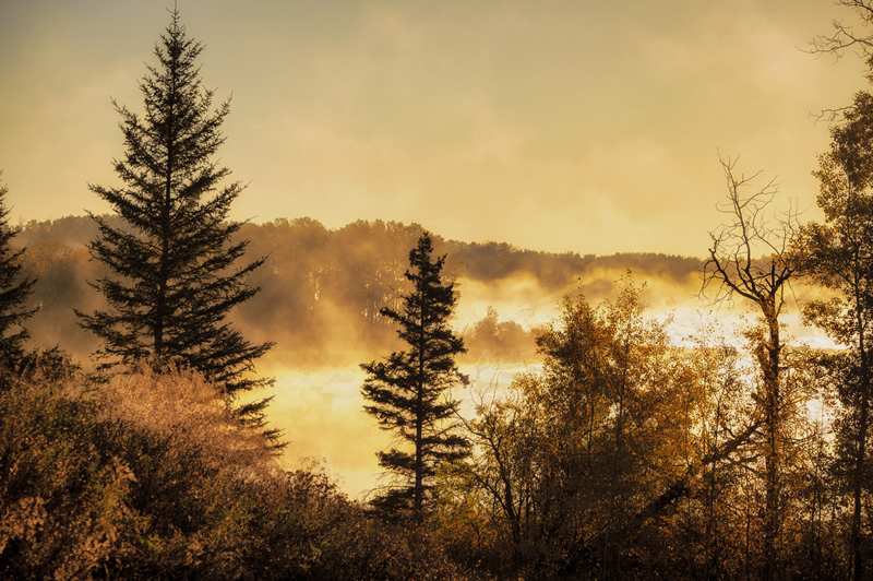 Misty Sunrise at Octopus Lake by Darlene Perkin